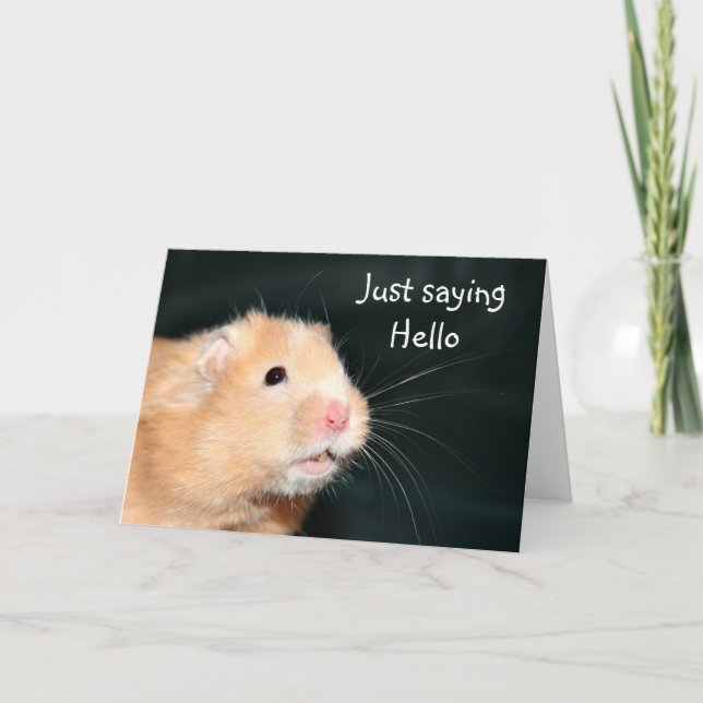 Carte Bonjour Hamster (Devant)