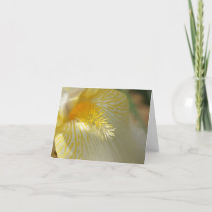 Carte Bonjour, iris !