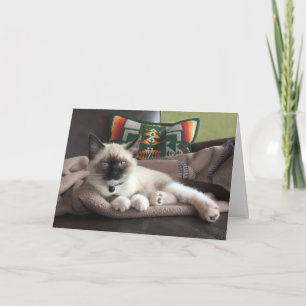 Carte Bonjour joli chaton siamois qui pense à vous
