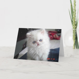 CARTE BONJOUR KITTY !