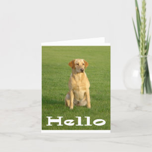 Carte Bonjour Labrador Retriever Chiens de Chiens de Chi