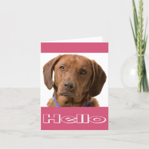 Carte Bonjour Labrador Retriever Puppy Dog Note Card