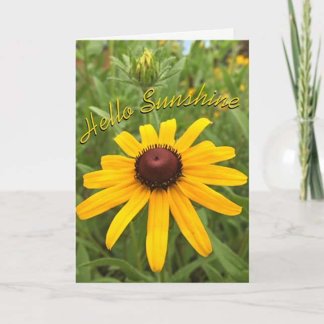 Carte Bonjour Pensée pour Vous Fleur de Rudbeckia Person (Devant)
