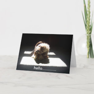 CARTE BONJOUR, PENSEZ À VOUS AMIS OU FAMILLE