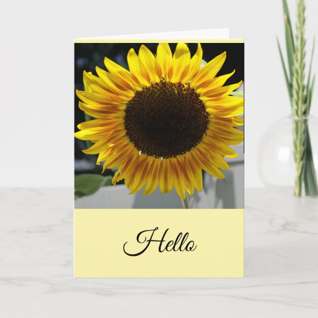 Carte Bonjour Tournesol (Devant)