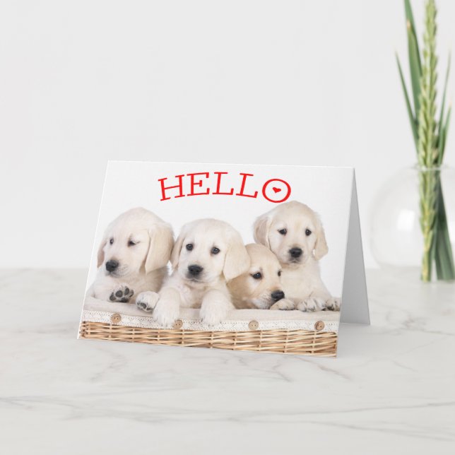 Carte Bonjour White Labrador Retriever Chien Chien Chien (Devant)