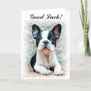 Carte Bonne chance French Bulldog puppy card