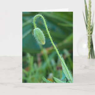 Carte Bonne Chance Pour Les Nouveaux Débuts Photographie