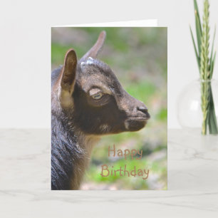 Carte Bonne chèvre d'anniversaire