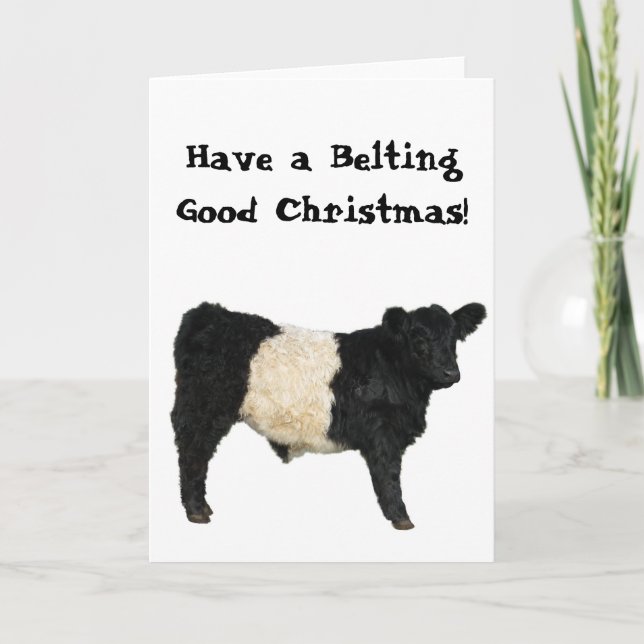 Carte Bonne fête de Noël Vache Belted Galloway (Devant)