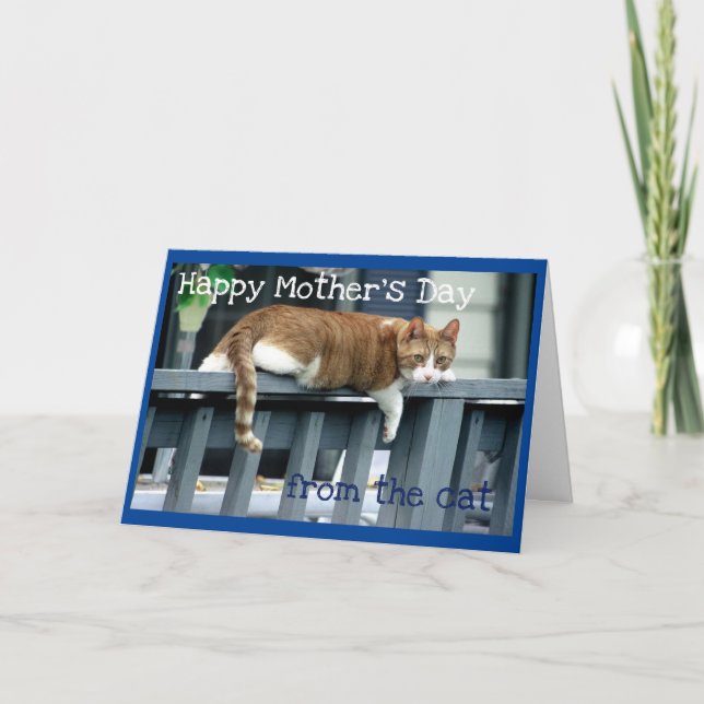 Carte Bonne fête des mères du chat (Devant)