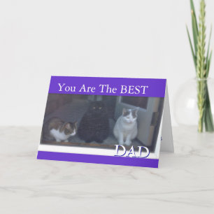 Carte Bonne Fête des pères aux chats