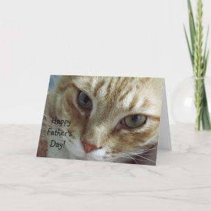 Carte Bonne Fête des pères du chat