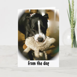 Carte Bonne Fête des pères du chien