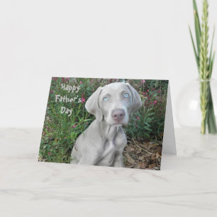 Carte Bonne Fête des pères ... Du Chien Weimaraner