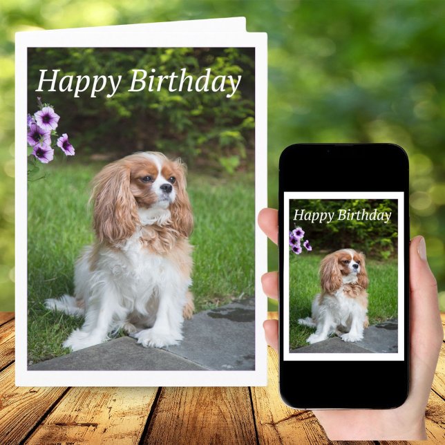 Carte Bonne Fleurs d'Anniversaire Cavalier King Spaniel  (Créateur téléchargé)