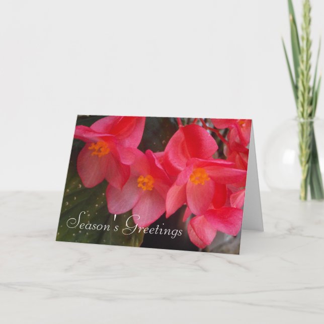 Carte Bonnes Fêtes (Devant)