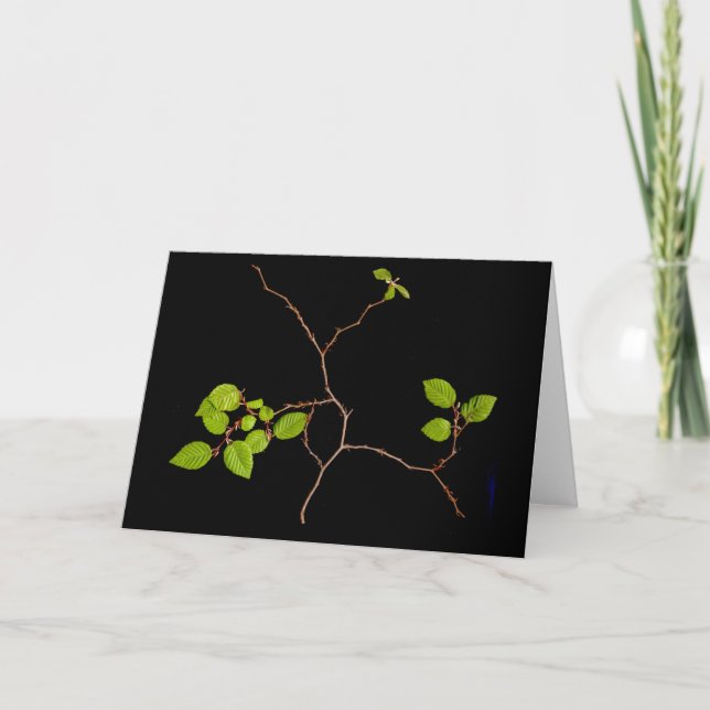 Carte Bonsai card de Corée (Devant)
