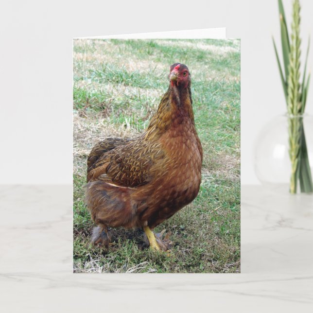 Carte Boots (Devant)