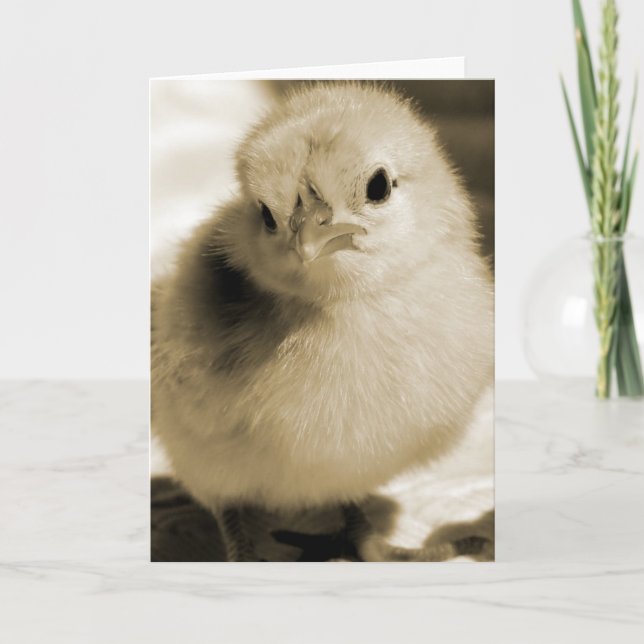 Carte Boot's Chick in Sepia Toutes les occasions Blank I (Devant)