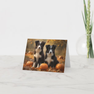 Carte Border Collie chiot automne délice citrouille