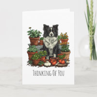 Border Collie de jardinage à vos pensées