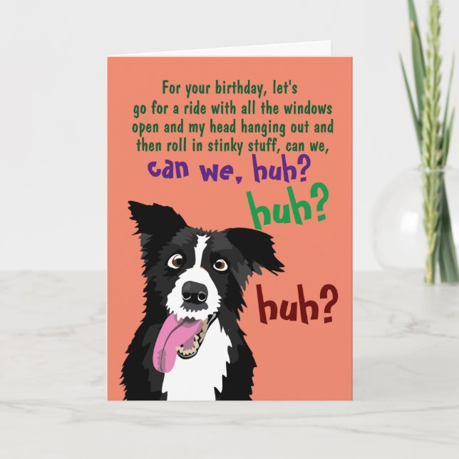 Carte Border Collie Funny Birthday Card for Dog Owner   (Devant)