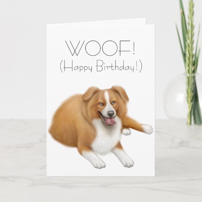 Carte Border Collie Happy Birthday Card (Devant)