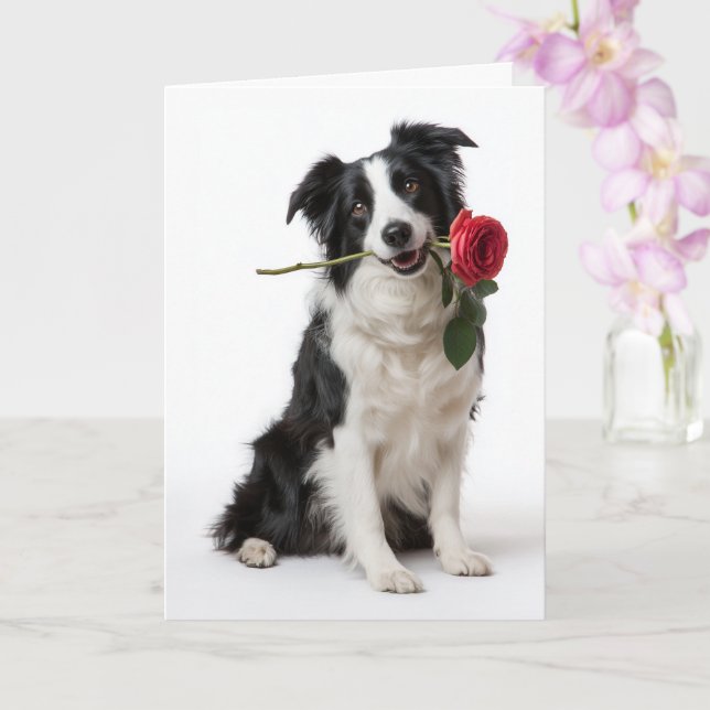 Carte Border Collie Valentine – Cœur dévoué (Orchidée)