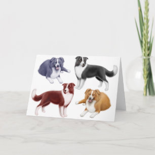 Carte Border Collies