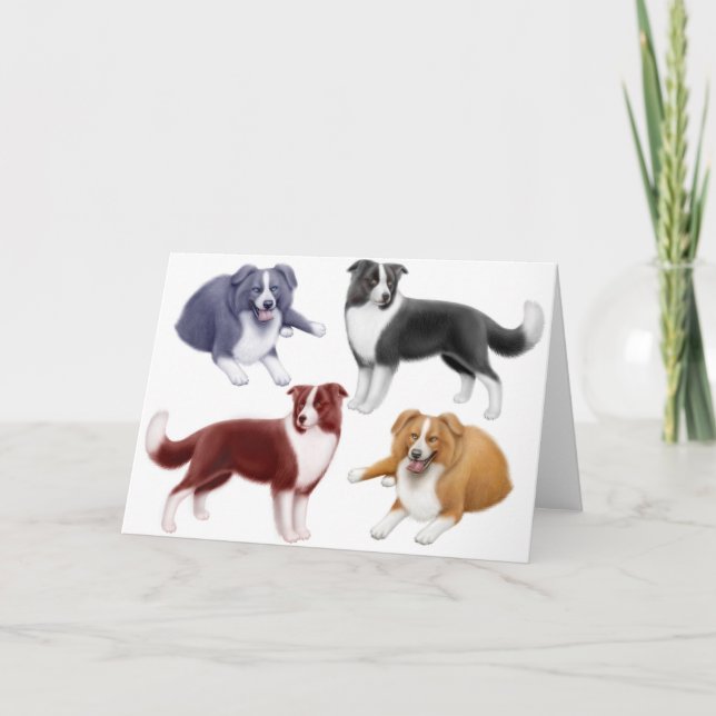 Carte Border Collies (Devant)