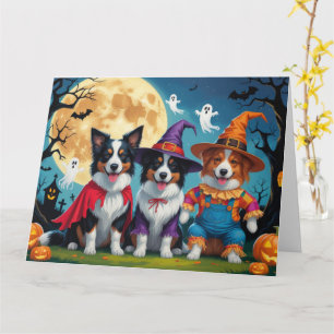 Carte Border Collies Chiens Citrouille Halloween Drôle