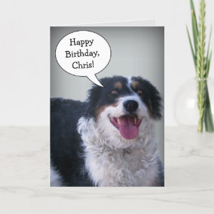 Carte Bordercollie Birthday