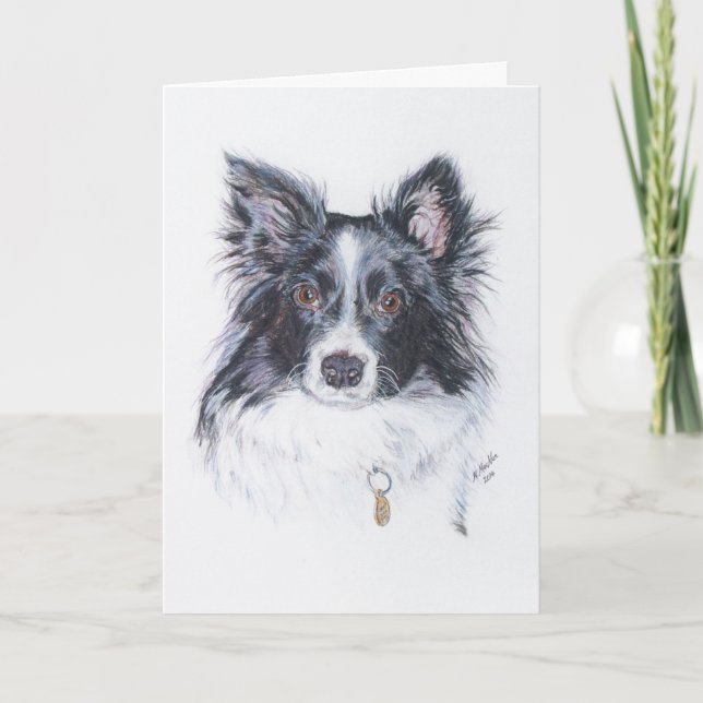 Carte Bordure Collie (Devant)