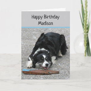 Carte Bordure Collie Chien, Joyeux Anniversaire, personn