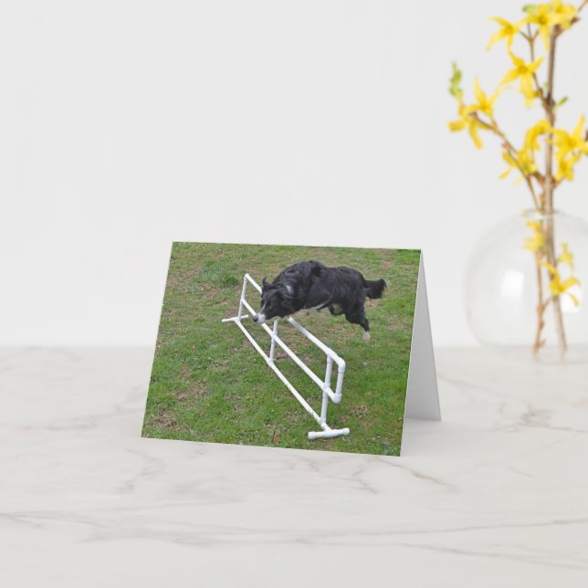 carte - Bordure Collie Jumping (Fleur jaune)