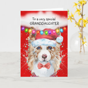 Carte Bordure Collie petite-fille Noël voeux Père Noël