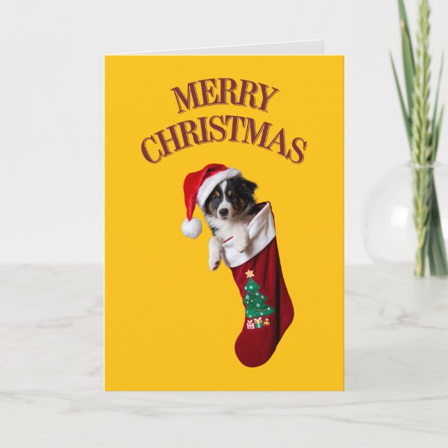 Carte Bordure Collie Stocker Noël (Devant)