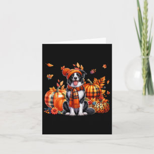 Carte Bordure Collie Thanksgiving Leopard Citrouilles Ch