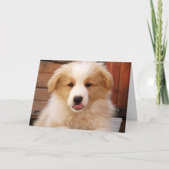 Carte Bordure or Collie Pup~Carte pour notes (Devant)