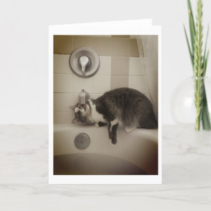 Carte Boris le mignon Nubber Kitty salutation
