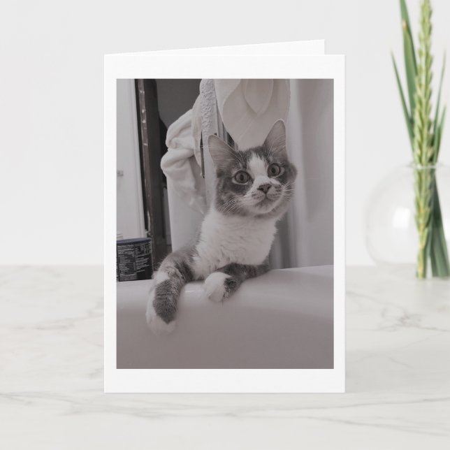Carte Boris le mignon numéro Kitty Salutation (Devant)