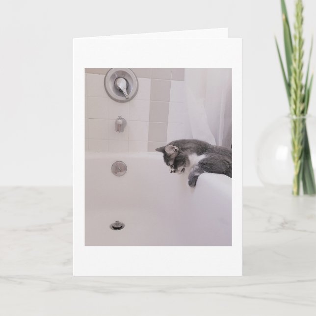 Carte Boris le mignon numéro Kitty Salutation (Devant)