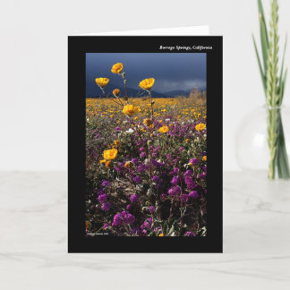 Carte Borrego Springs, Californie