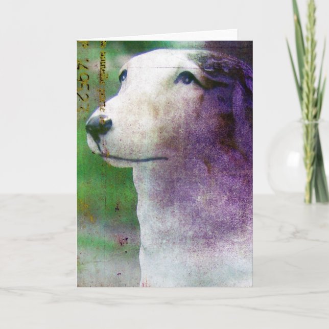 Carte Borzoi (Devant)