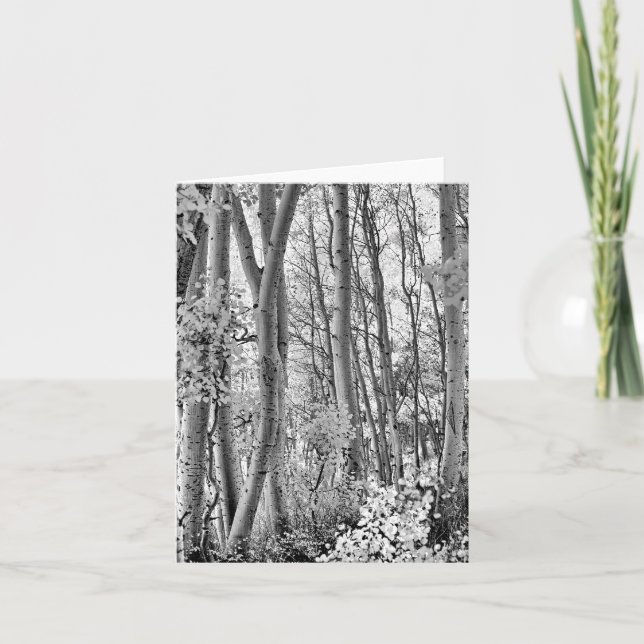 Carte Bosquet (Devant)