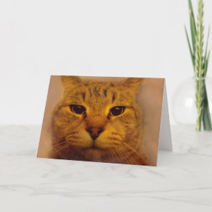 Carte Bossy Impatient Chat S'En Sortir Bien