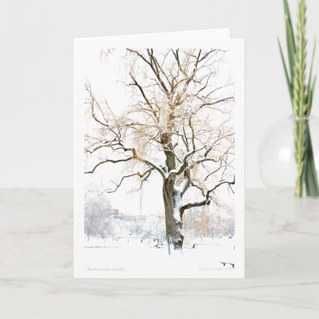 Carte Boston Public Garden : ajoutez votre salutation (Devant)