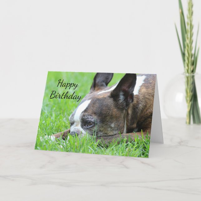 Carte Boston Terrier (Devant)