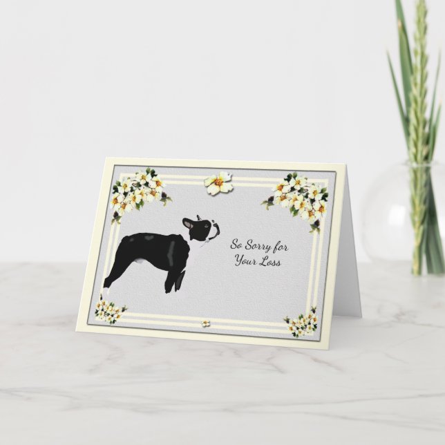 Carte Boston Terrier avec la sympathie de cornouiller (Devant)